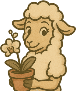sheep-flower Plant Sale